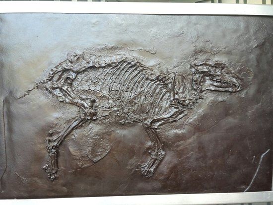 Fossielenvindplaats Groeve Messel